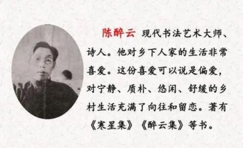 陈醉云个人简介是什么？