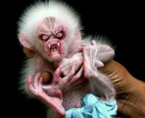 揭秘最真实的水鬼图片 水猴子强迫人落水当替死鬼