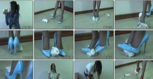 虐兔女残忍虐待兔子事件过程 20岁变态女将兔子活活踩死