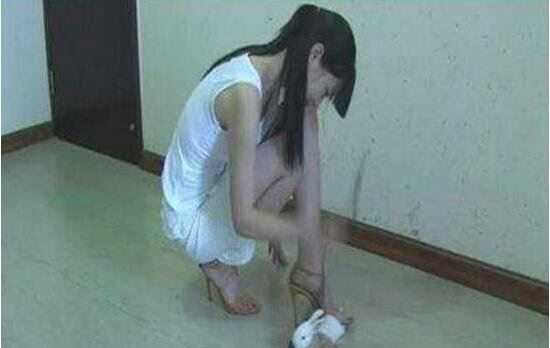 虐兔女残忍虐待兔子事件过程 20岁变态女将兔子活活踩死