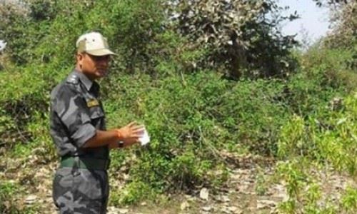 盘点各地发生的强奸事件 老外强奸中国姑娘被罚五百拘十五天