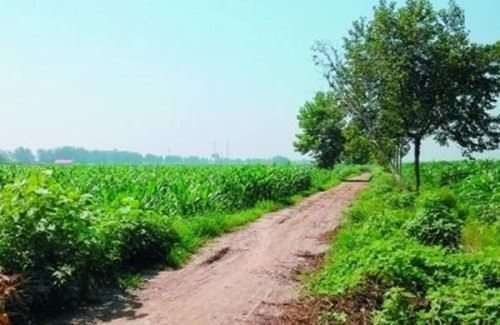 盘点各地发生的强奸事件 老外强奸中国姑娘被罚五百拘十五天