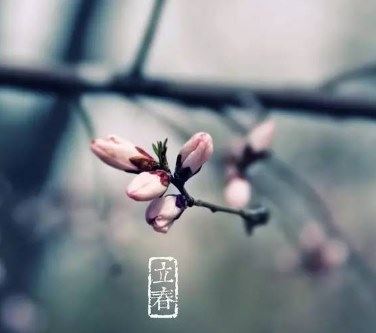 2020年2月4号立春是几点钟？