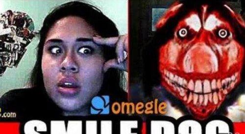 微笑狗是什么为啥吓人 smile.jpg微笑狗原图(胆小勿入)