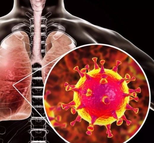 世界卫生组织对新型冠状病毒的命名是什么？