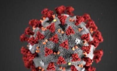 世界卫生组织对新型冠状病毒的命名是什么?