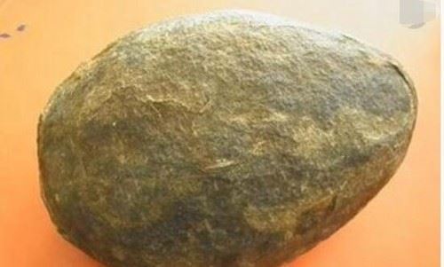 世界上最古老蛋 2.8亿年前的史前恐龙蛋史前恐龙