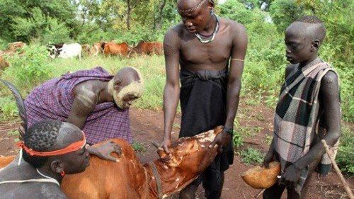 世界恶心的十大禁菜 世界上最恶心的10种食物(看了想吐)