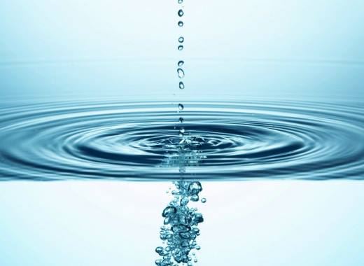 淀粉属于六大营养素中的什么？