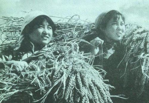 一大二公是指什么?
