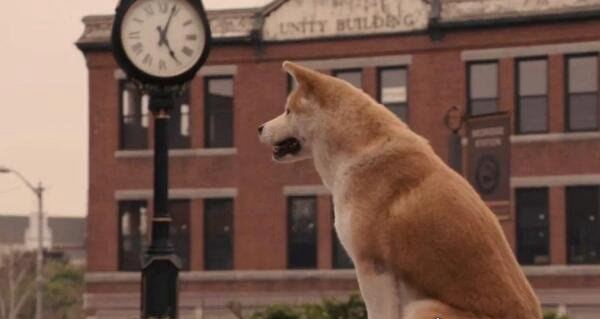 10部哭到崩溃的电影 每一部电影都让人感动落泪