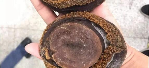 世界上最珍贵最稀有的鲍鱼 半头鲍(一只就要上万元)