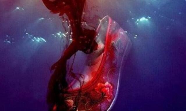 红嫁衣原版吓死了多少人 网传恐怖故事是编造(没有吓死过人)