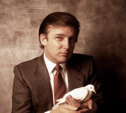 特朗普年轻时的图片 年轻时的特朗普是真帅(并没有吹牛)