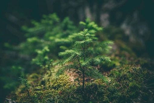 2021是世界末日吗？2021年彗星撞地球真假？