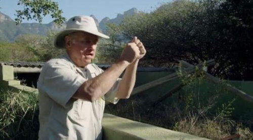 世界上最无所畏惧的动物 平头哥蜜獾不仅有勇而且有谋