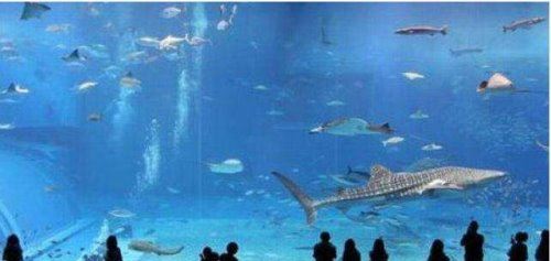 迪拜为什么那么有钱 5大原因告诉你(16大迪拜世界之最纪录)