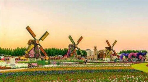 迪拜为什么那么有钱 5大原因告诉你(16大迪拜世界之最纪录)