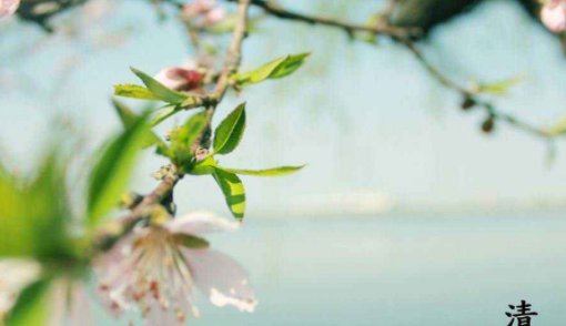 2022年四月四号是什么节日 2022年4月4日结婚吉日吗？