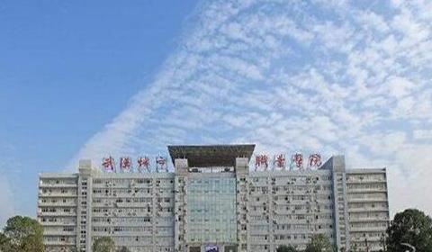 武汉专科大学有哪些 武汉专科大学排名及分数线