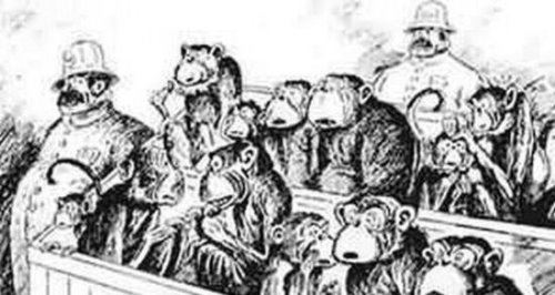 美国猴子案件的真正起因 经济利益下的争锋对决