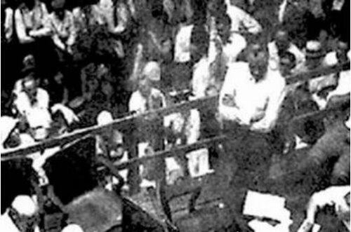 美国猴子案件的真正起因 经济利益下的争锋对决