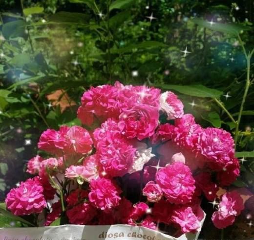 怎样画一幅母亲节送给妈妈的画