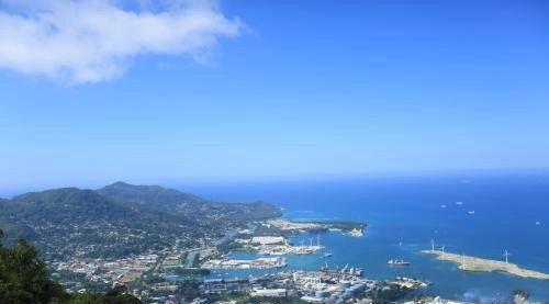 非洲有哪些国家？共60个(最大国家阿尔及利亚/最小国家塞舌尔)