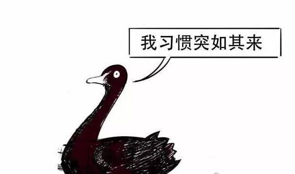 黑天鹅事件是什么意思 一切不寻常/罕见/突发事件的统称