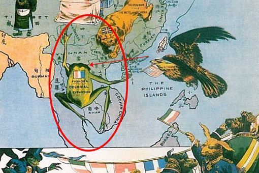 揭秘时局图蛙为什么没有头