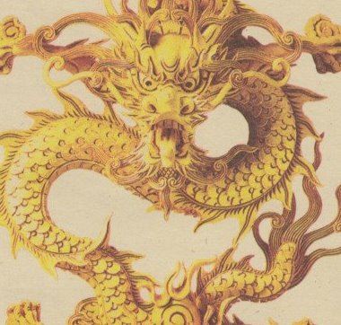 世界上有龙吗?龙存在于世上(多人见过龙)