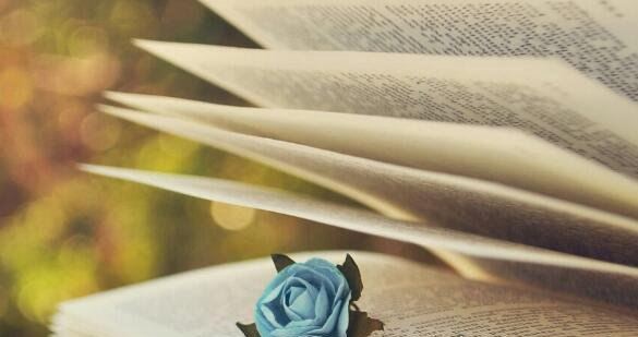 北京四大垃圾大学 考虑这四大染缸学校的人一定要注意了