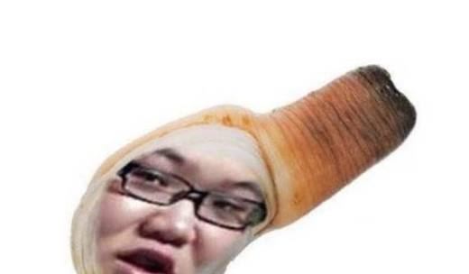 象拔蚌什么梗？