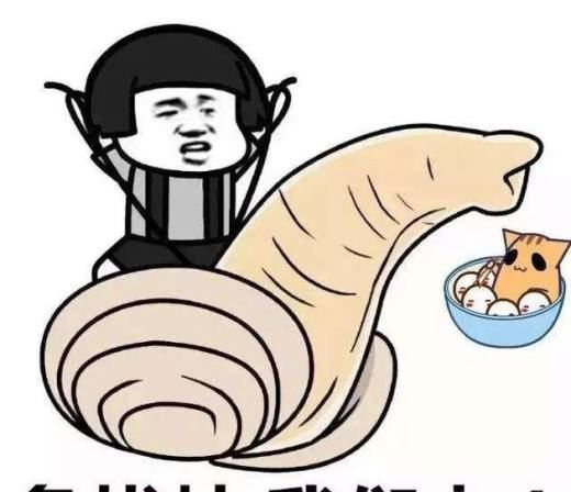 象拔蚌什么梗？