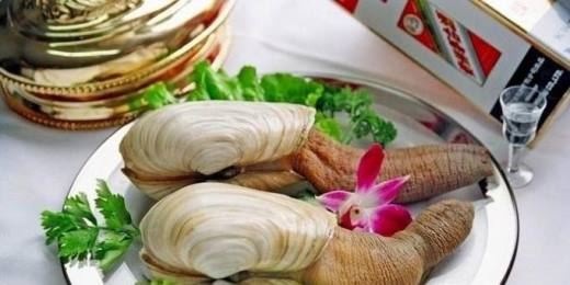 象拔蚌什么梗？