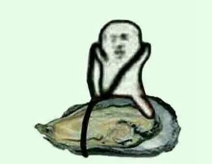 象拔蚌什么梗？