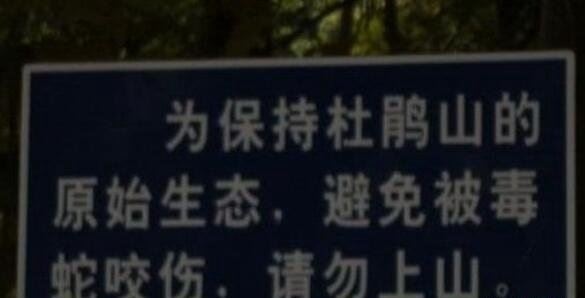 深圳大学为什么是邪地 深圳大学俯视图发现八卦阵