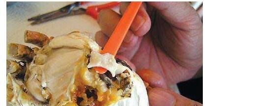 螃蟹哪里不能吃高清图 这四张图片告诉你螃蟹需要清除的部位