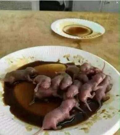 禁菜三吱儿的食用步骤分解 生吃活老鼠(胆小勿试)