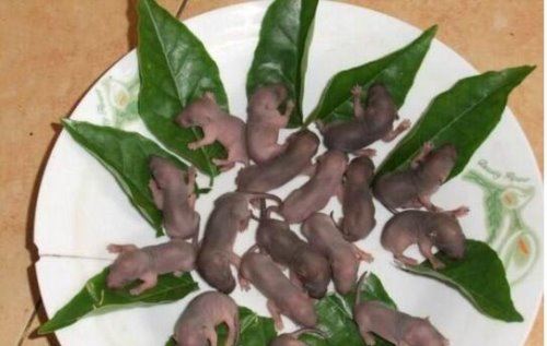 禁菜三吱儿的食用步骤分解 生吃活老鼠(胆小勿试)