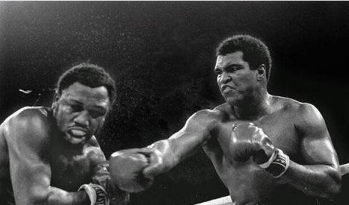 拳王泰森一拳有多重？800公斤(能轻松打死一头壮牛)