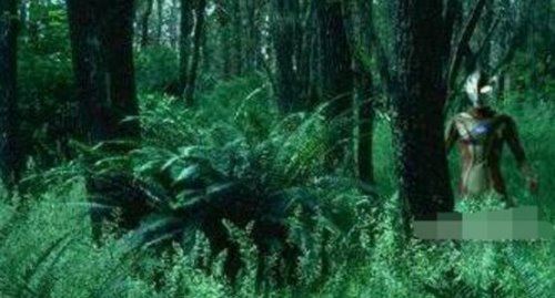 世界上有人拍到奥特曼真实图 真奥特曼的3次目击事件