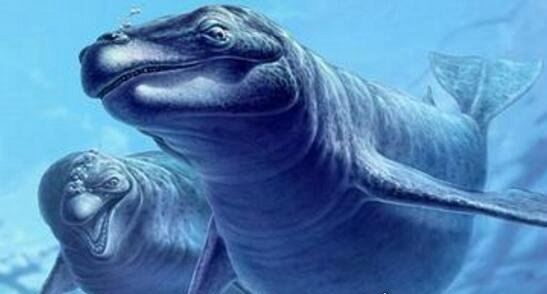 史前顶级掠食者 梅氏利维坦鲸(长达17米/重65吨)