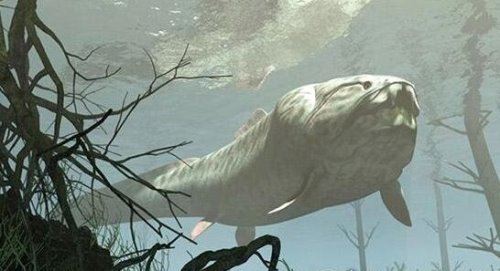 史前顶级掠食者 梅氏利维坦鲸(长达17米/重65吨)