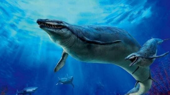 史前顶级掠食者 梅氏利维坦鲸(长达17米/重65吨)