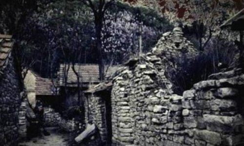 1987陕西夜狸猫事件回顾 真相至今无人知晓(疑是谣言)