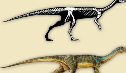 古代十大恐怖吓人的动物 幸好都已经灭绝了忐忑不安