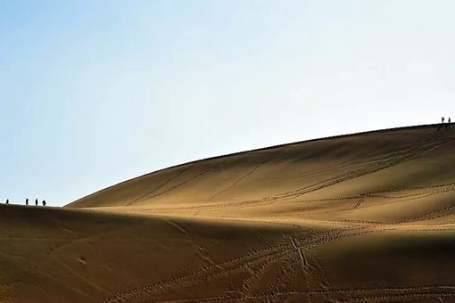 丝绸之路的主要商品是哪些？丝绸之路的资料介绍