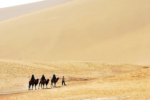 丝绸之路的主要商品是哪些？丝绸之路的资料介绍