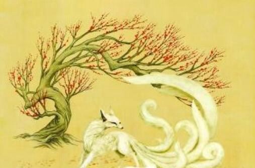 世界上有人拍到九尾狐 九尾狐在古代竟然真实存在过